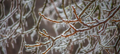 Неустойчивый характер погоды по Казахстану обещают синоптики в ближайшие дни