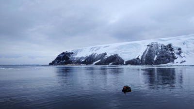 Международная экспедиция открыла в Антарктике новый остров