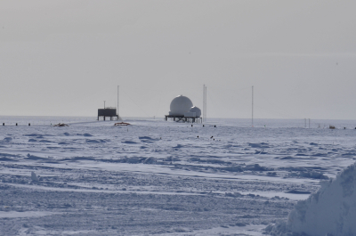 Президентский фонд природы рассказал о проектах по сохранению Арктики