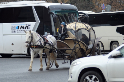 Кучера да мельники: эксперты объяснили появление редких специалистов в классификаторе профессий