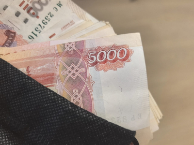 Самозанятые Новосибирска получат дополнительные выплаты