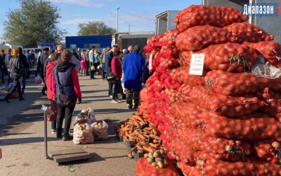 Какими продуктами область себя обеспечивает, а что закупает