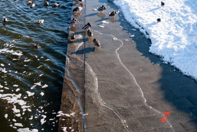 В Челябинске сброс воды на Шершнях увеличили до 80 кубометров в секунду