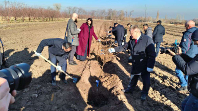 Состоялась закладка Мичуринского сада