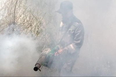 «Окна были открыты, а яд попал в дом»: в Атырау ночью травили комаров, пострадали люди